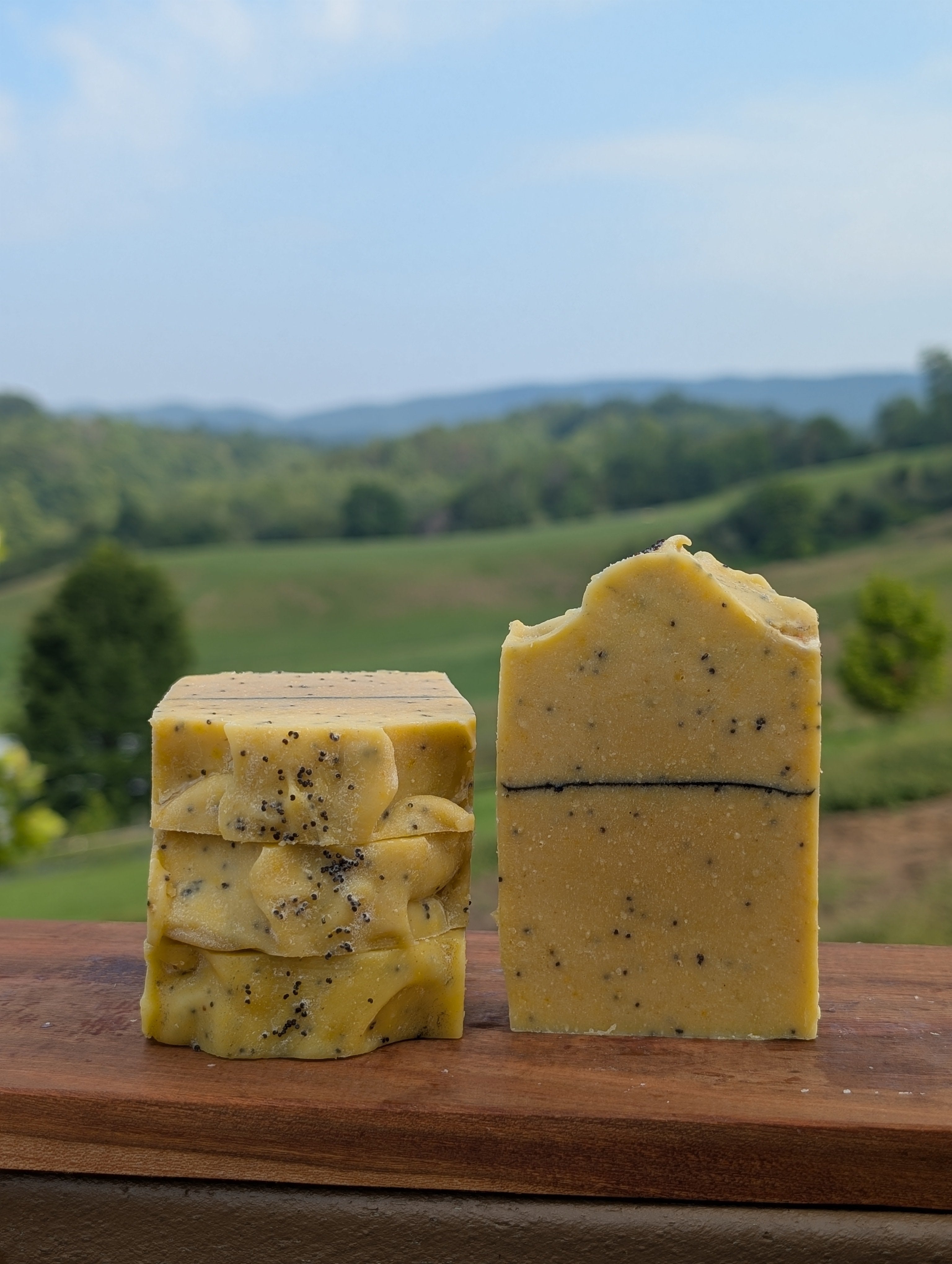 Lemon Trees & Poppy Seeds (full size)